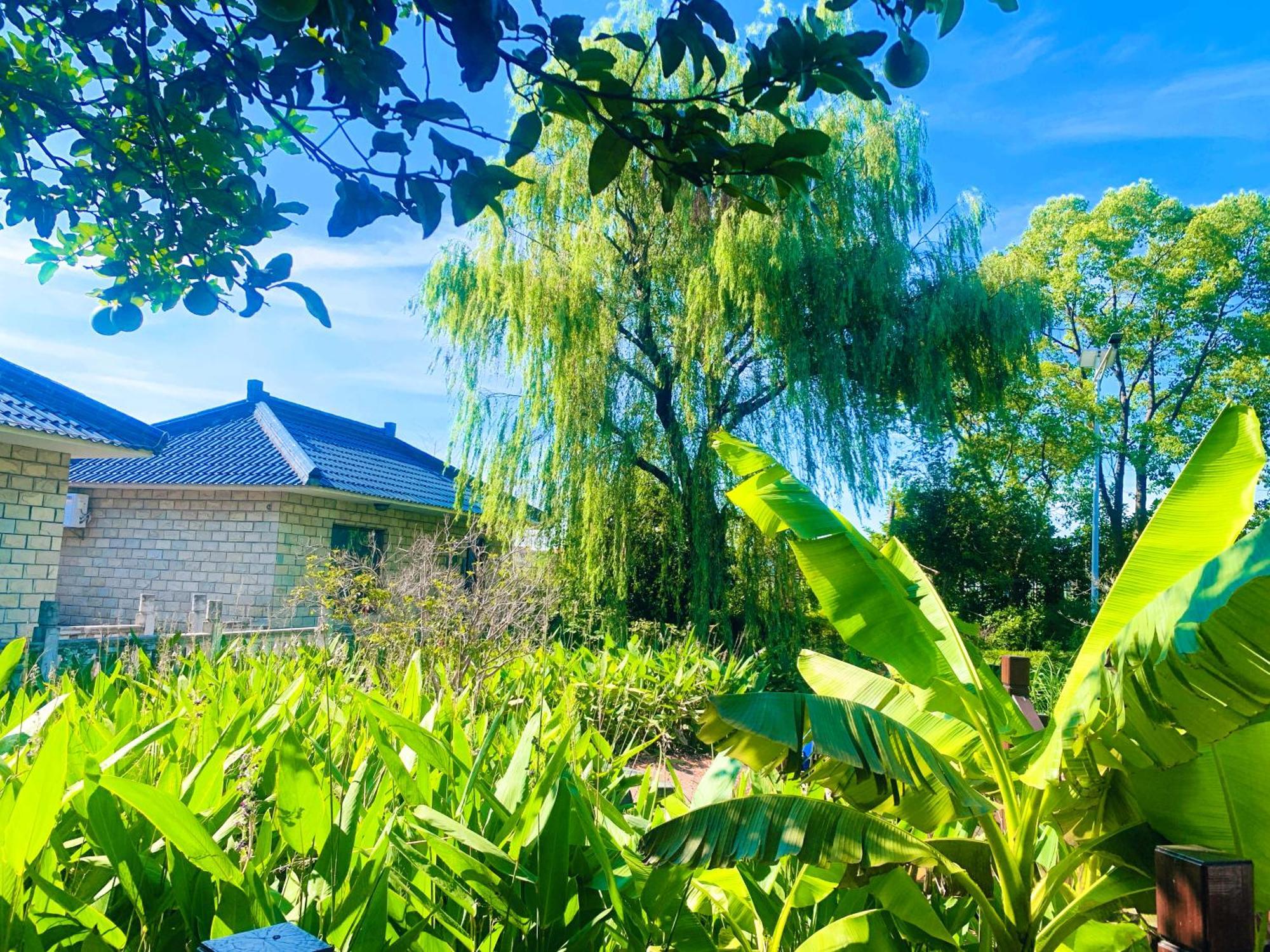 Shushe Hotel Thượng Hải Ngoại thất bức ảnh