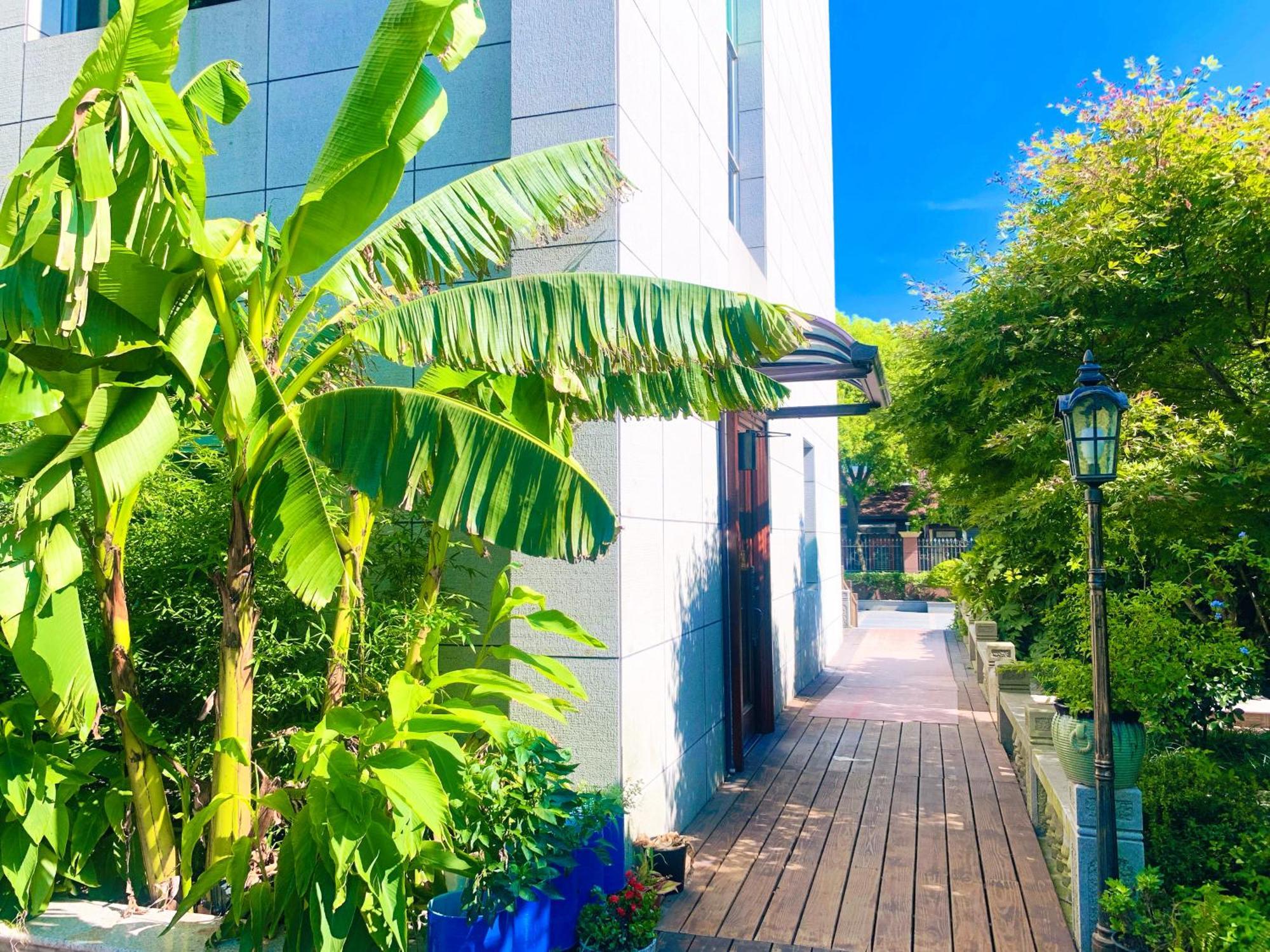 Shushe Hotel Thượng Hải Ngoại thất bức ảnh